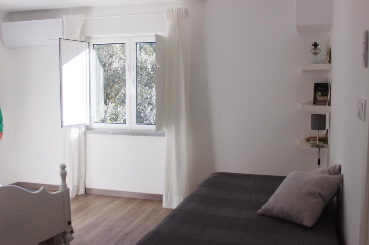 Casas D'Almofala Vila de Rei Eksteriør billede