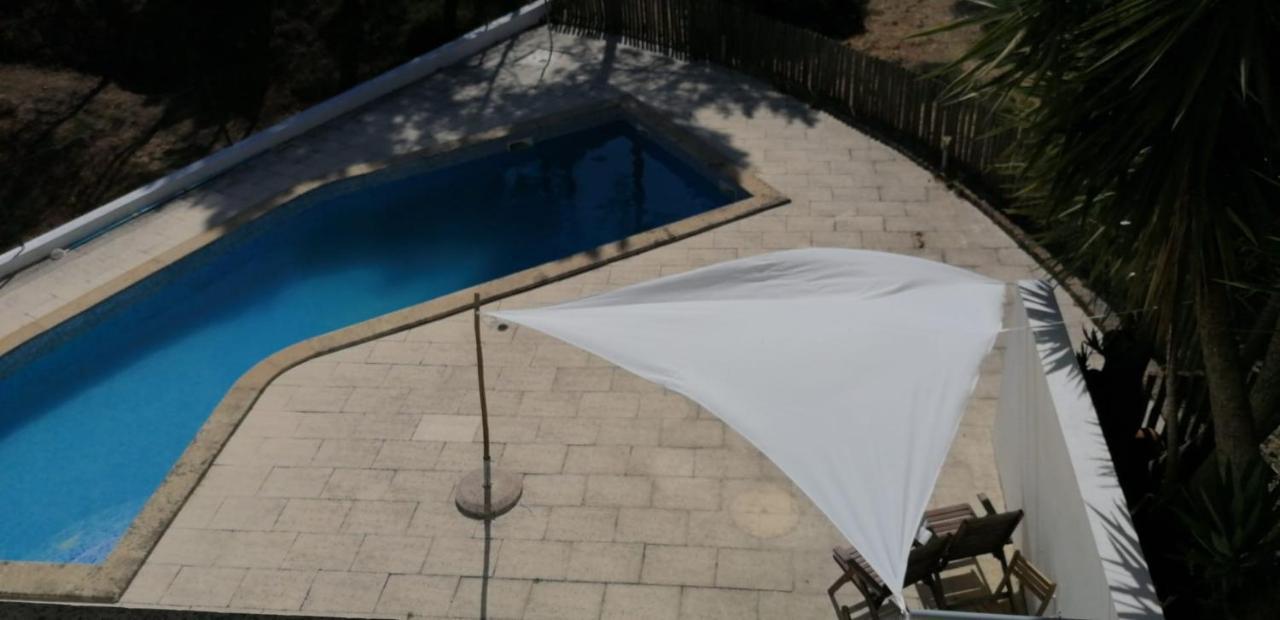 Casas D'Almofala Vila de Rei Eksteriør billede